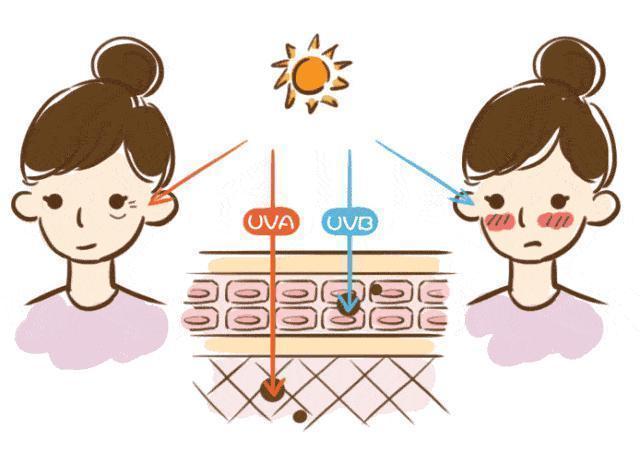 谎言|比「蹭蹭不怀孕」更恶劣的谎言,99%的女生都被骗过