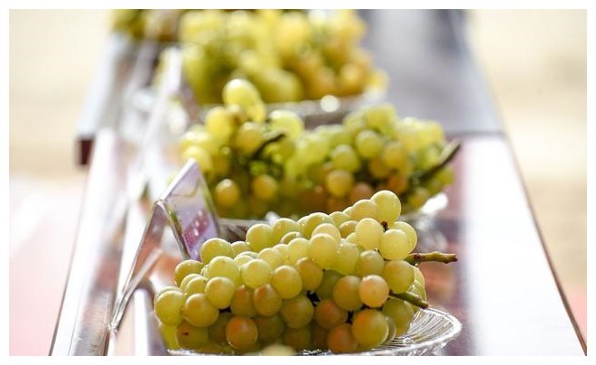 无核葡萄|食物“胰岛素”被找到，坚持泡水喝，平稳血糖，甩掉“小糖人”