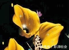 人心!良言20句,见证人心,看透人性看一次胜读十年书