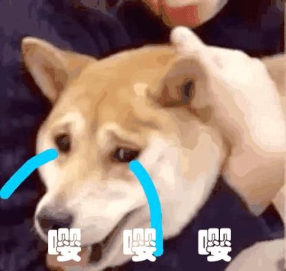 衬衫＋薄外套，今年开春千万不要这么穿，太美了！