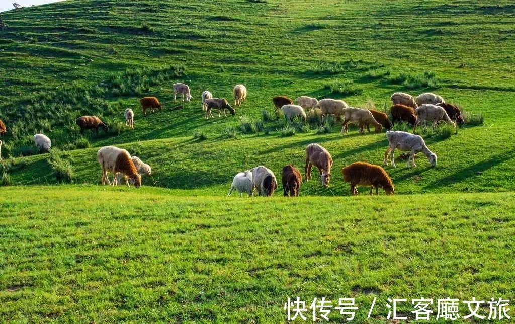 避暑胜地|重庆人私藏的避暑地，人少景美超清凉，挑一个去过22℃的夏天