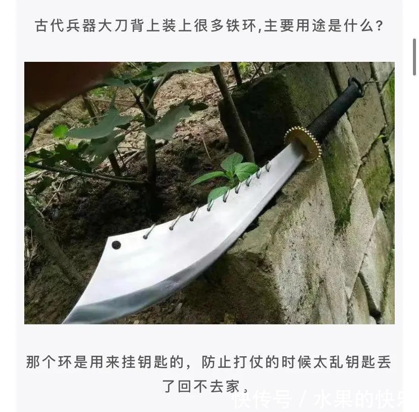 |神评段子合集:罗老师这种专门讲课的律师,真正打官司的水平怎么样?