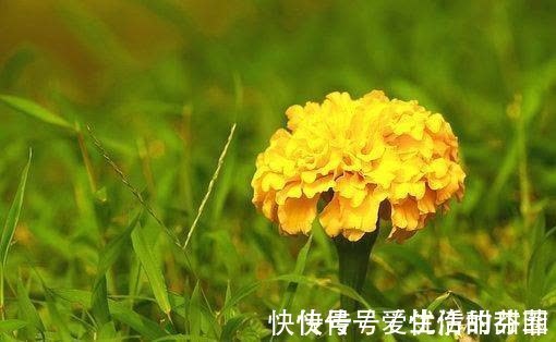 旧爱|再过7天，爱如潮水，问题化解，支离破碎，迷恋旧爱，相知相守