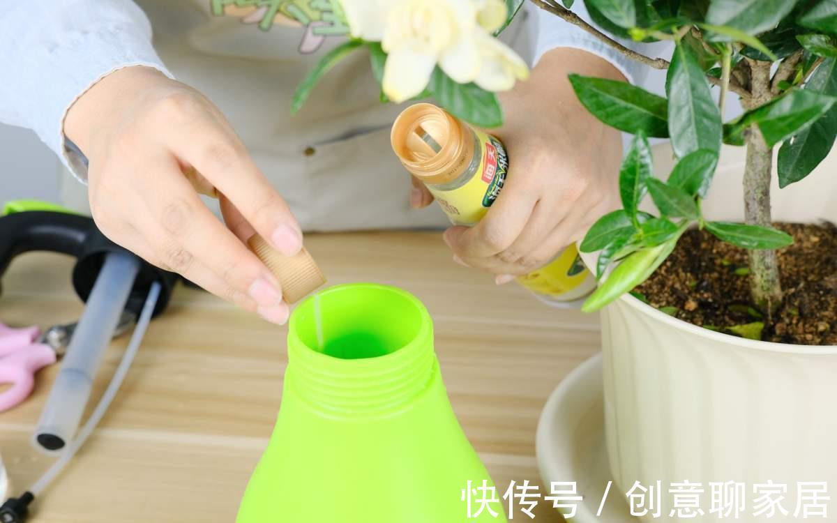 养花|自制养花杀菌水，一天喷一次效果好，安全无污染