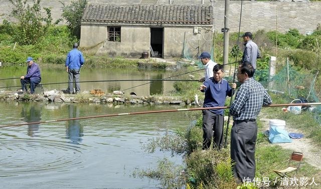 鱼类|秋末夜钓的3个思路,不一定效果好,但愿对您有参考价值