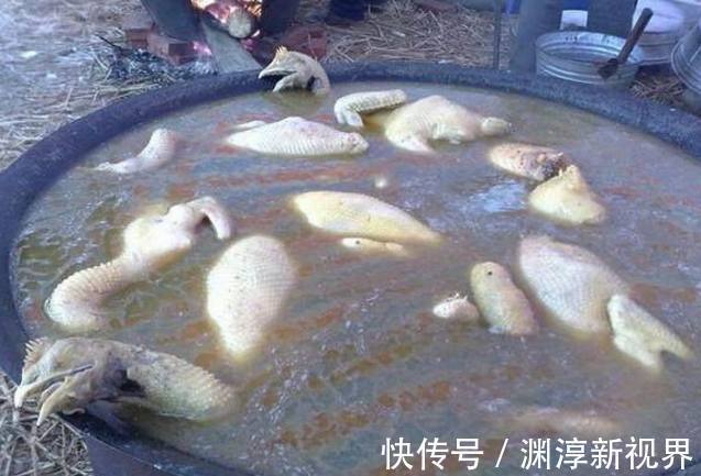 农村90后小伙结婚,婚宴上大鱼大肉分量足却没人吃,