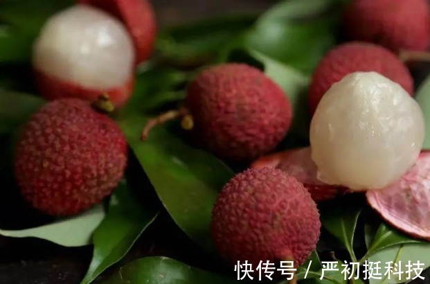 香蕉|夏季水果种类多多,但这些水果吃多了只会危害健康,早看早预防!