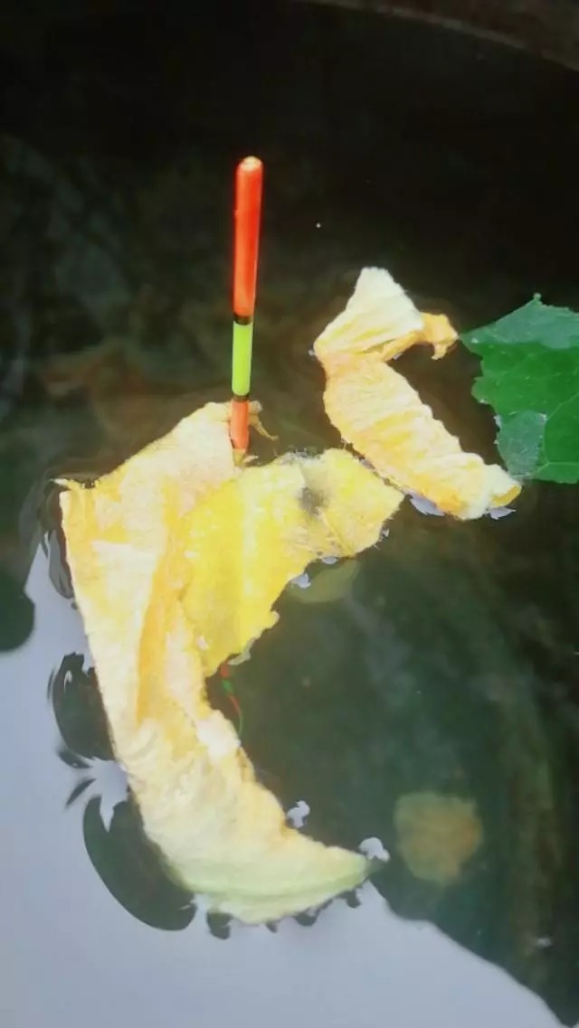 新手如何快速掌握调漂技巧,让你少走弯路,一步到位