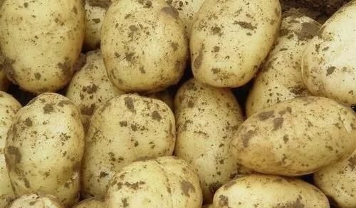 降压药|高血压就怕缺钾?若长期服用降压药,建议3种高钾食物常吃