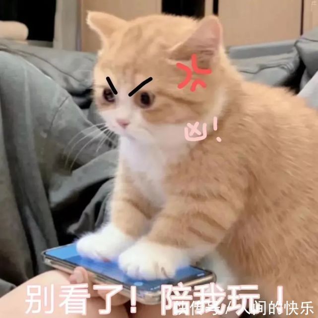 |搞笑沙雕表情包:斗图没有这些 缺少一半的乐趣