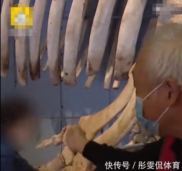 玻璃|向标本扔石头、掰坏2万元玻璃球,开展9天的博物馆遭熊孩子袭击