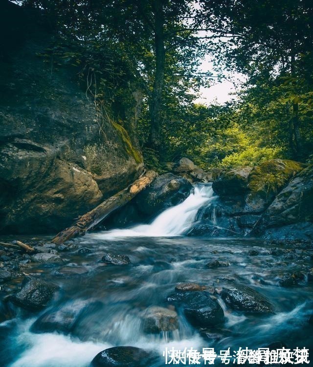 诗人!李白很经典的一首诗,28字几乎人人会背,最后14字豪迈壮阔!