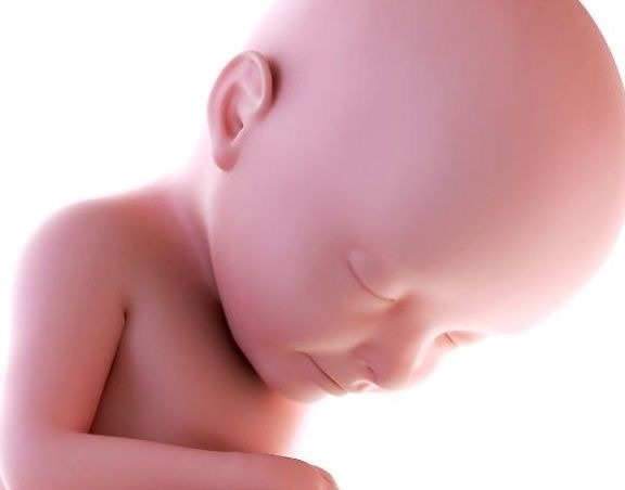 孕妇|胎心率高的是女孩吗？或许好多人想错了，其实和这3个方面有关