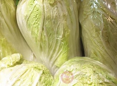食物|白菜的功效 想不到这种食物可以润肠通便