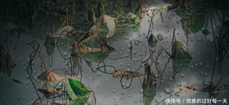 蒋捷这首词惊艳了700多年,写下了二十年漂泊的生活,充满了忧愁