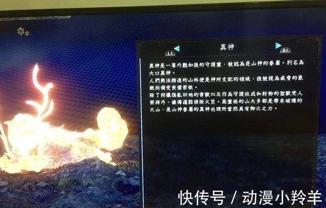 凯多|海贼王1020话:大和的果实能力公布!粉丝:怕啥来啥,真是白眼狼