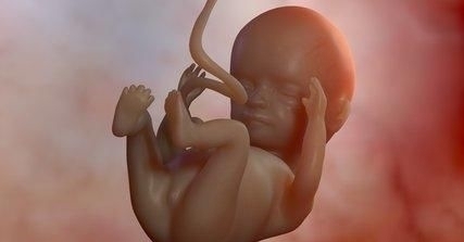 胎儿|高智商的胎儿，孕期可能跟别人“不一样”看完孕妈偷着乐