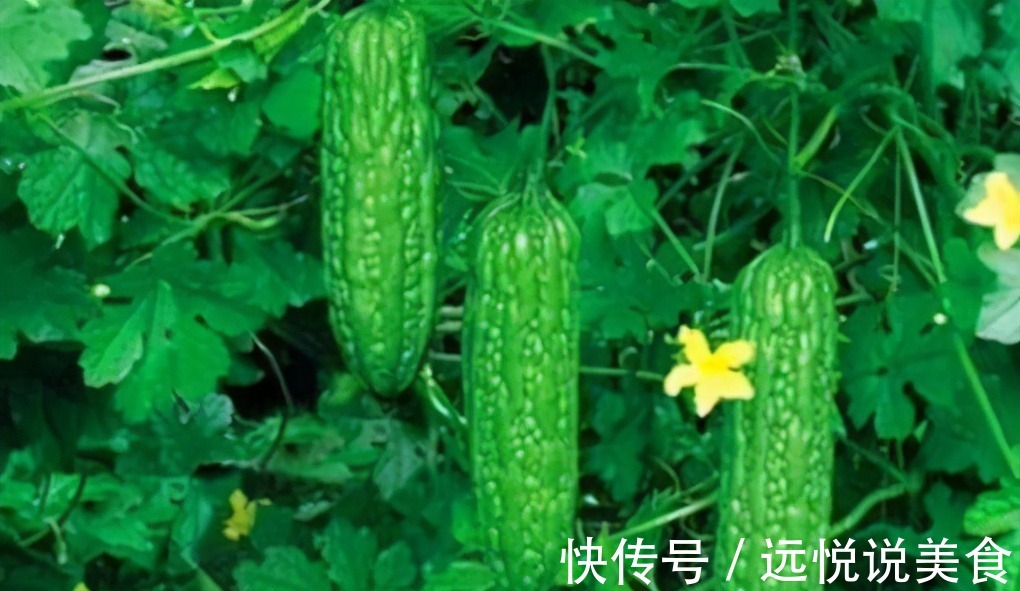 食物|对女人很好的3种食物,坚持每天吃一些,排毒养颜、淡化皱纹