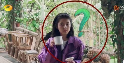 黃磊做面,看清用啥攪拌的,連張子楓都懵了,再有食欲也不敢吃了