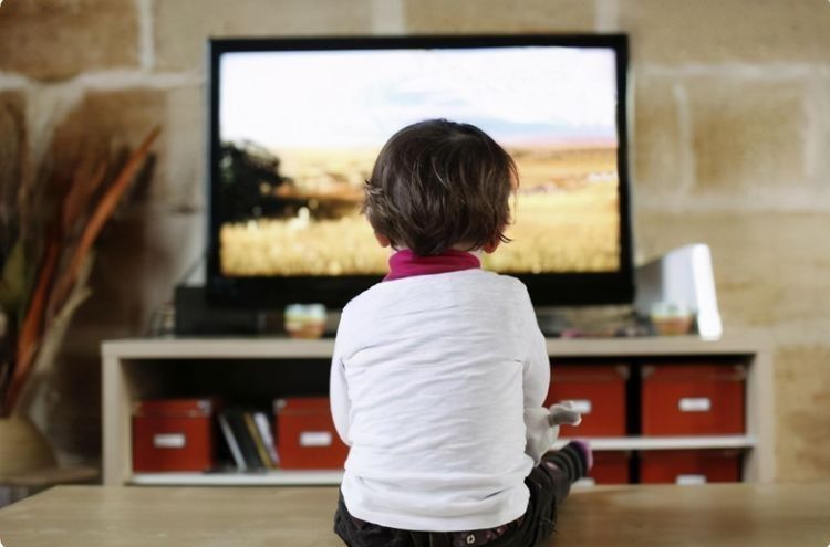 新手|孩子多大可以看电视?新手宝妈别着急,听听美国儿科学会怎么说
