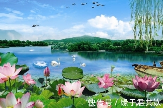 聚宝盆|7月下旬,吉星庇佑,4属相运势上涨,偏财大顺,生活步入正轨