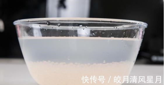 自己在家也能做抹茶西米冻，做法超简单，质地Q弹又筋道！