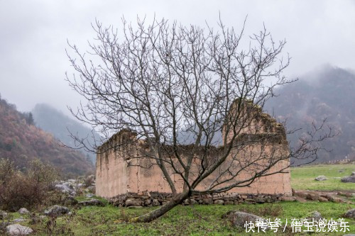 秦岭山中藏着一片草原，牛羊成群却不见主人放养，风景不输新疆