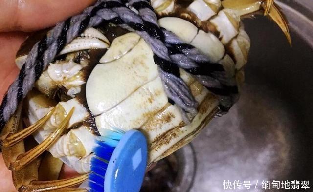 蒸“大闸蟹”别再用错了水,很多人做错了,难怪肉质老蟹膏少
