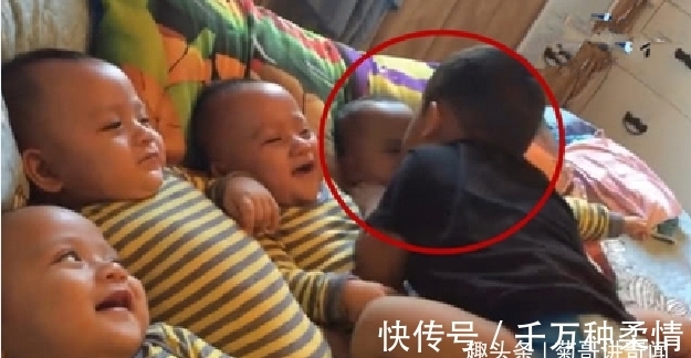 胞胎|3岁哥哥照顾5胞胎弟弟,弟弟们看到哥哥过来,妈妈都觉得省心了