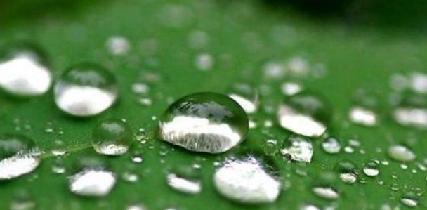 细水长流|一个家庭走向兴旺的4个征兆，你家若有一个，就要恭喜了