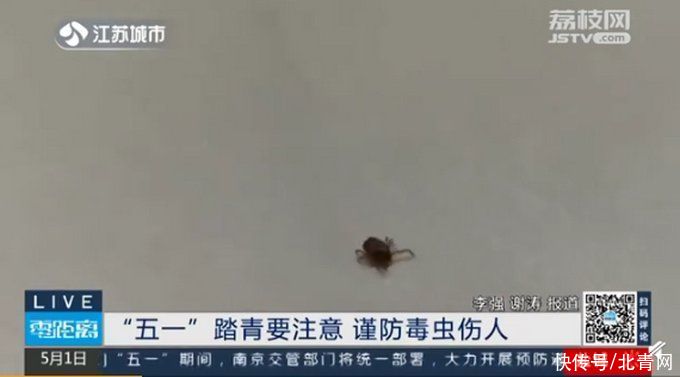 注意!假期出游当心蜱虫隐翅虫等毒虫