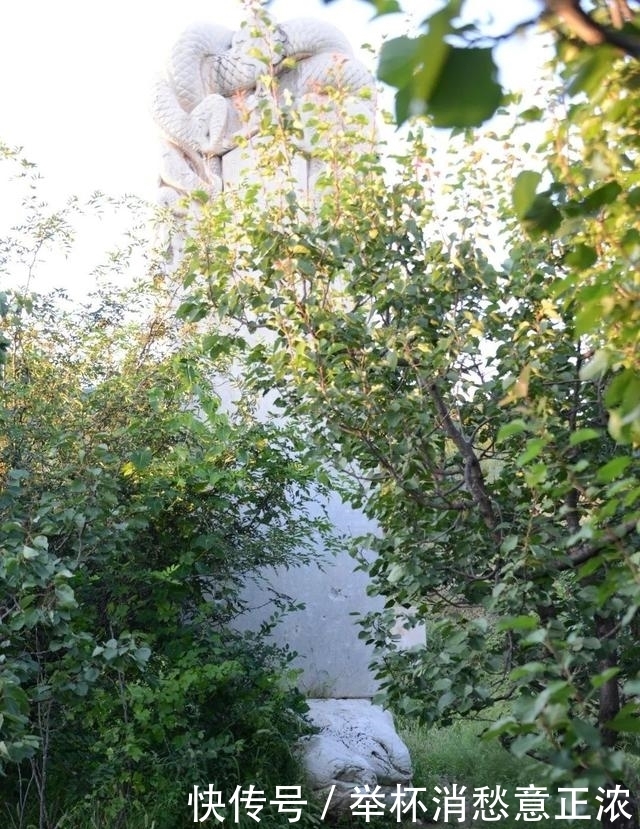 书魂·张柔:轻财重书,《金史》得用(上)韦力撰