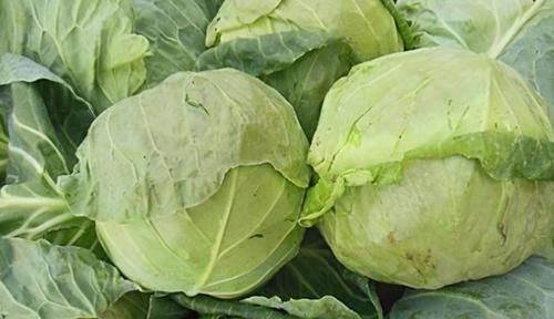 黄苹果|想长寿要先会吃，3种食物不可少，排毒养颜，有益健康！