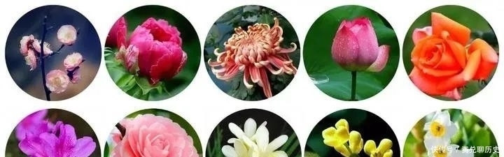 中国的十大名花,你知道几个?