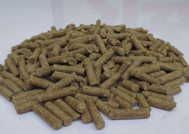 黑坑|钓鱼选饵并不难,带上这几种饵料,去哪儿钓鱼都有效!