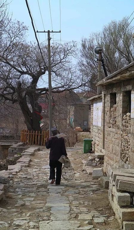 清净|清净的逯家岭村