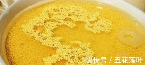 小米粥|熬小米粥,别直接下锅煮,多加“这4步”,小米粥浓稠又有米油!
