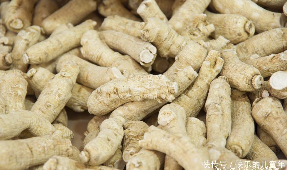 作用|黄芪补气健脾,西洋参补气养阴,哪个补气效果更好?药师说出实情