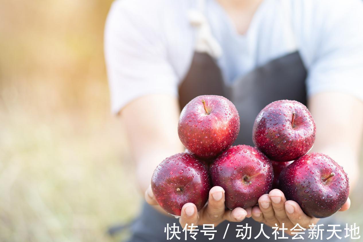 食物|长寿难道难于上青天?多吃5种食物,身体健康长寿不是梦