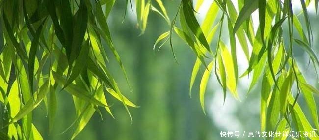 开篇|清代咏物词的压卷之作,开篇凄美得让人落泪,把伤感写得深入骨髓