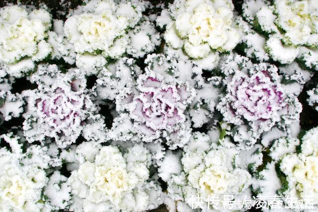 自然界|给手脚冰凉,上热下寒的你一年中适合调理的时机到了!