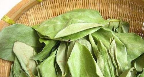 女性想要皮膚好，推薦常吃3種食物，美容養(yǎng)顏，滋潤(rùn)身體