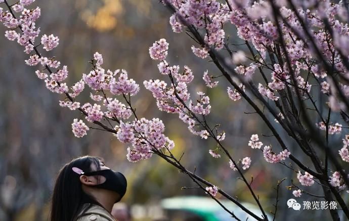 春分，赏花品香不负春