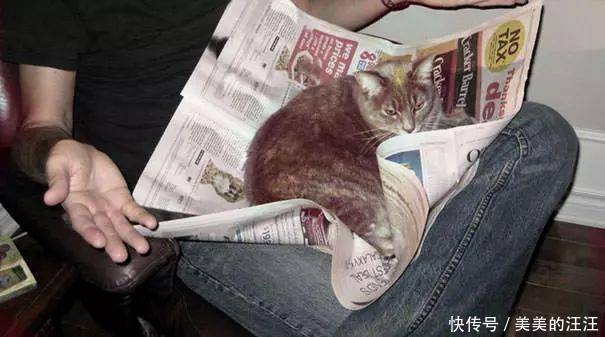 看什么书看书,难道我还没有书好看吗