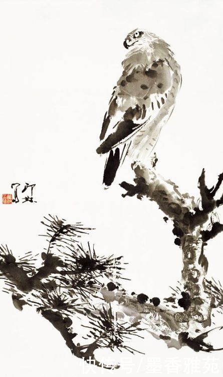 花鸟画|当代画家萧朗精品花鸟画作品欣赏