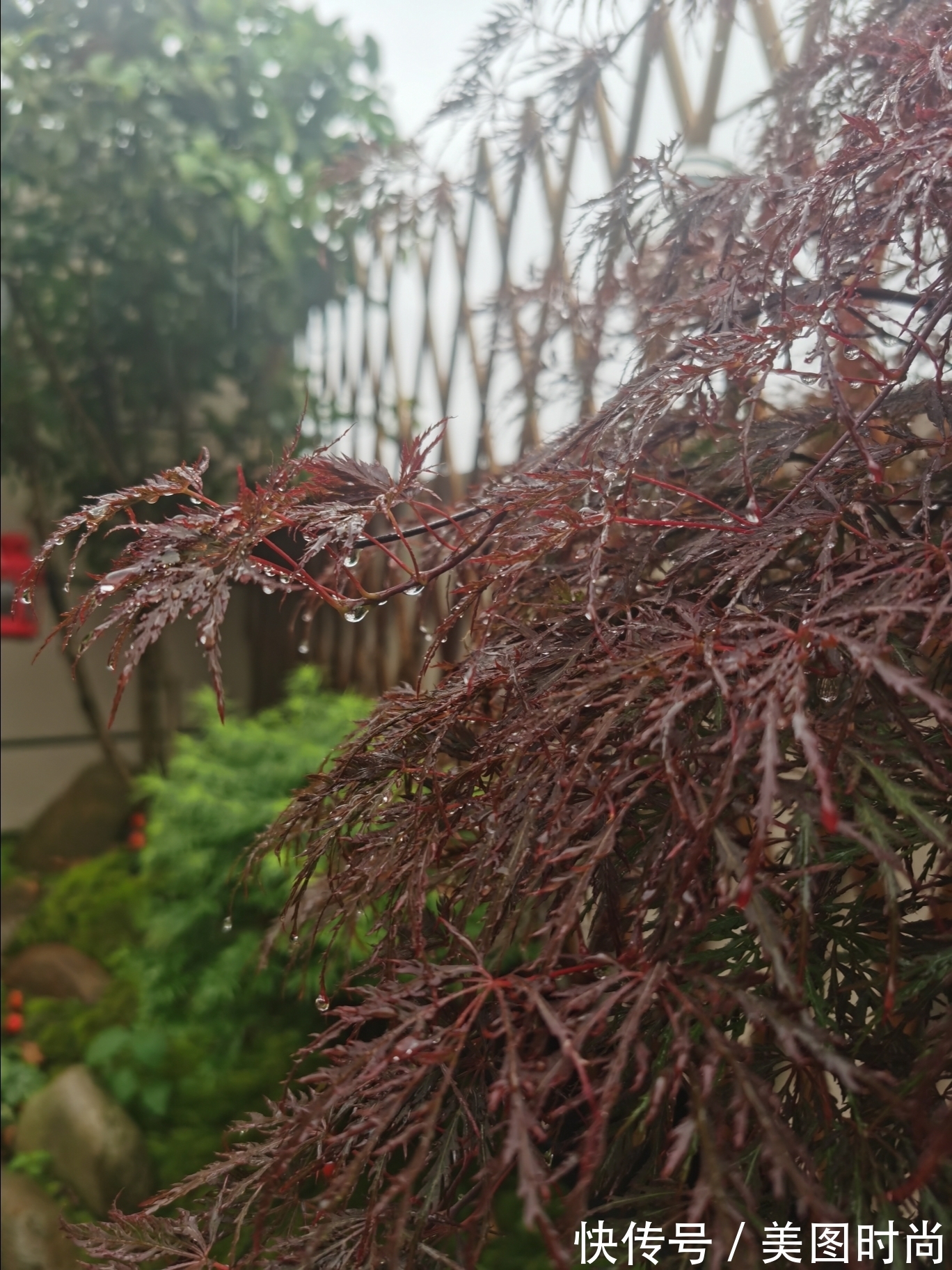 露台|买了小洋房顶层，把16㎡露台改造成“日式小花园”，结果令人惊喜