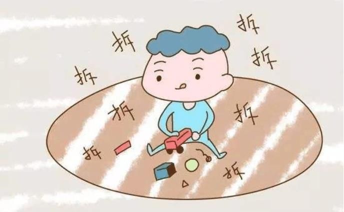 共同点|教育专家卢勤：“超常儿童”确有共同点，家长要用心去观察