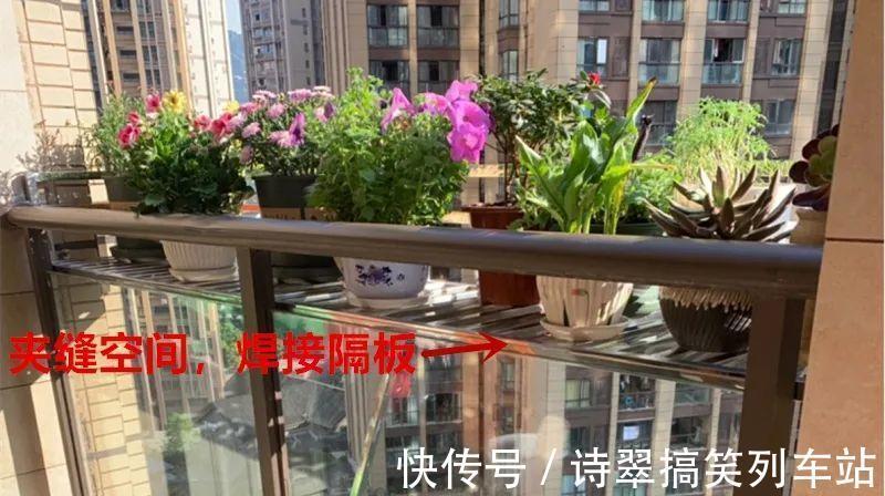 花花|阳台党的烦恼,没有院子,只能挖空心思养花