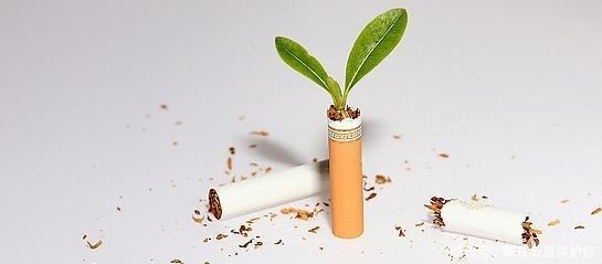 戒烟|戒烟 教你戒除烟瘾的三个绝招, 轻松易实行, 还能防止复吸!