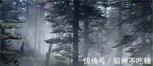 黄泉路#“黄泉路”原来真实存在!现今已被列为禁区,科学都难以给出解释